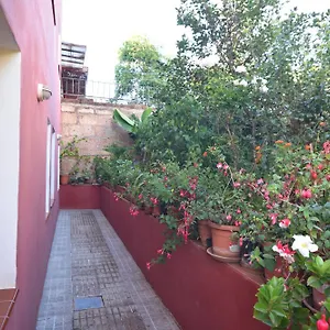 La Casa De Las Flores Tacoronte